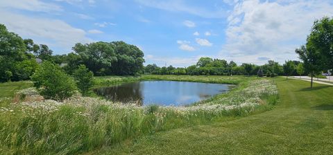 Tiny photo for 1039 Raupp Court, Lake Zurich, IL 60047 (MLS # 12676004)