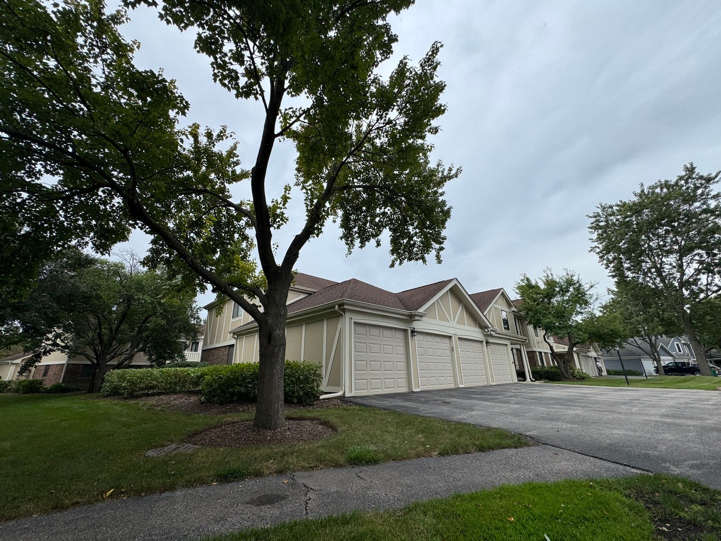 1101 WILDBERRY Court A1