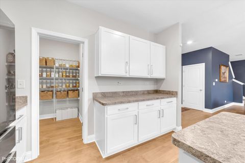 Tiny photo for 442 S Dollinger Drive, Romeoville, IL 60446 (MLS # 12529183)