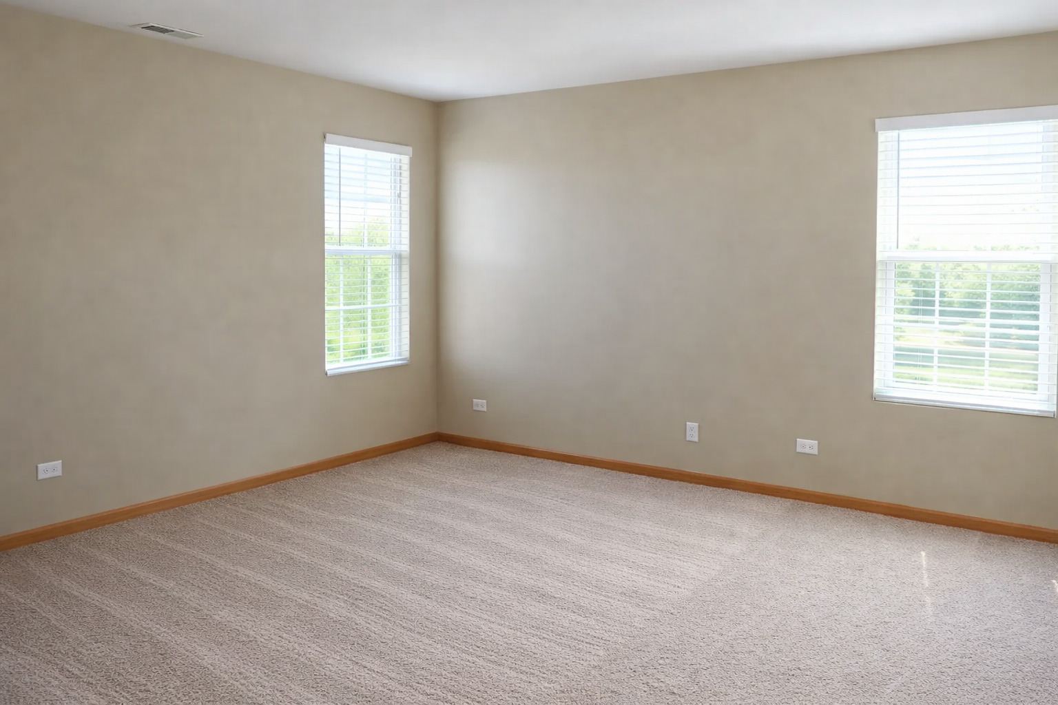 1447 MILLBROOK Drive