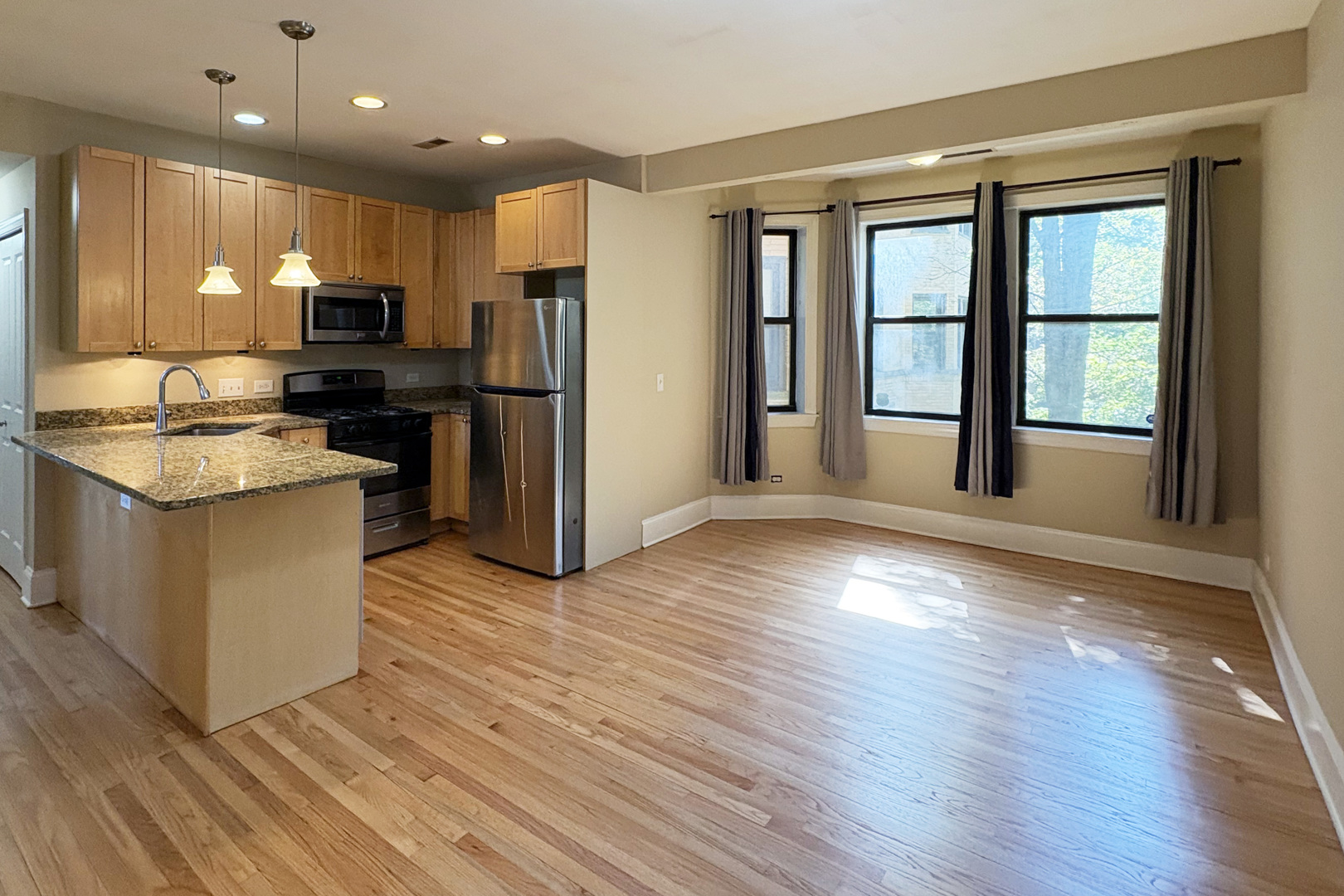 7635 1/2 N Greenview Avenue 1S