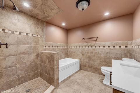 Tiny photo for 13245 Silver Fox Drive, Lemont, IL 60439 (MLS # 12497897)