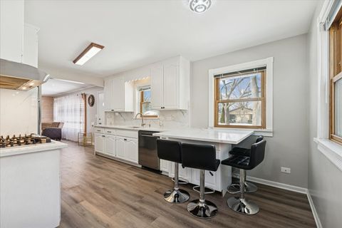 Tiny photo for 507 S Waterman Avenue, Arlington Heights, IL 60004 (MLS # 12596180)