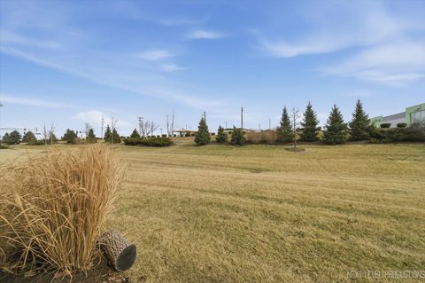 Tiny photo for 1040 Moraine Drive, South Elgin, IL 60177 (MLS # 12580651)