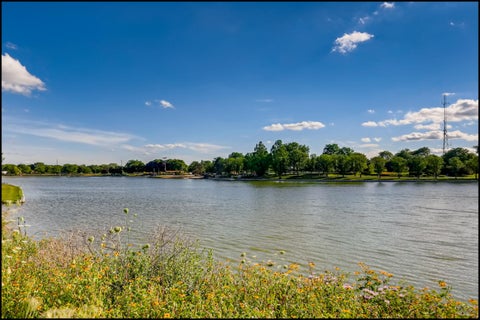 Tiny photo for 935 Shattuck Lane #935, Schaumburg, IL 60194 (MLS # 12784173)