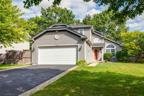 532 Brown Street Wauconda IL 60084