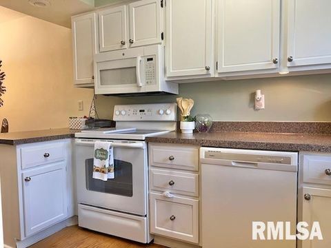 Tiny photo for 3550 DEVILS GLEN Road, Bettendorf, IA 52722 (MLS # QC4267787)