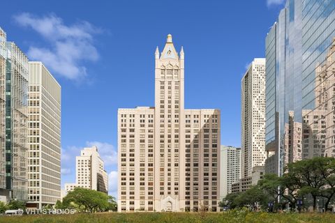 680 N Lake Shore Drive 506 Chicago IL 60611