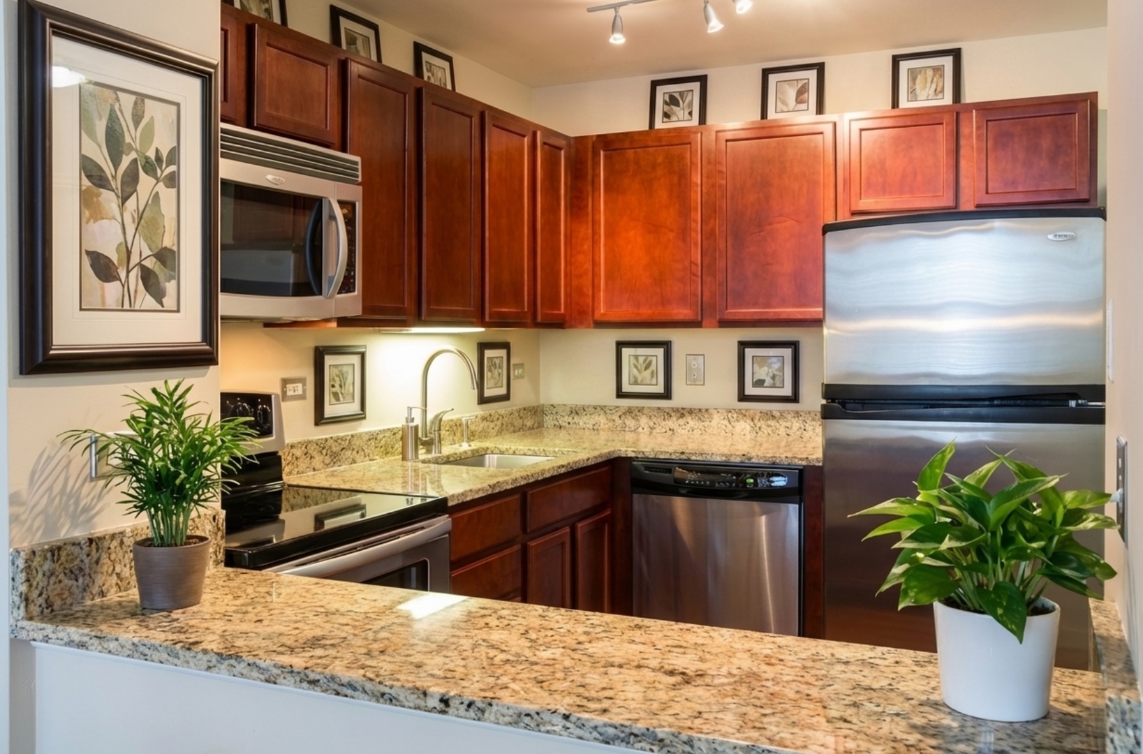 222 E Pearson Street 503