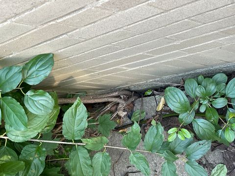 Tiny photo for 6131 N Leader Avenue, Chicago, IL 60646 (MLS # 12162056)