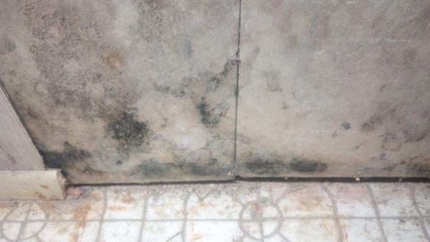 Tiny photo for 6131 N Leader Avenue, Chicago, IL 60646 (MLS # 12162056)