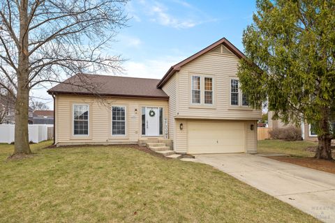 1343 Knollwood Circle Crystal Lake IL 60014