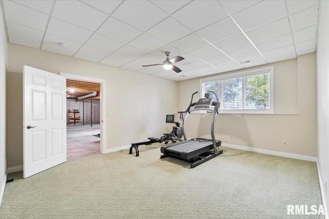 Tiny photo for 16808 RIVER Road N, Cordova, IL 61242 (MLS # QC4268557)