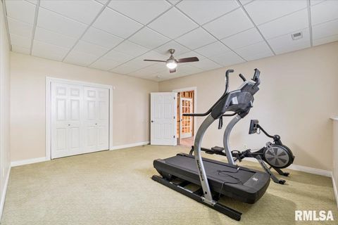 Tiny photo for 16808 RIVER Road N, Cordova, IL 61242 (MLS # QC4268557)