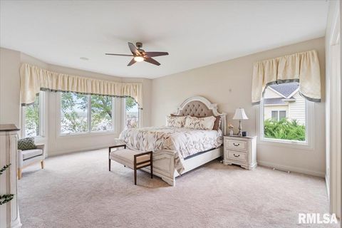 Tiny photo for 16808 RIVER Road N, Cordova, IL 61242 (MLS # QC4268557)