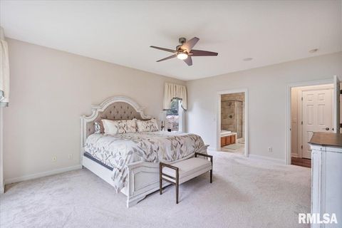 Tiny photo for 16808 RIVER Road N, Cordova, IL 61242 (MLS # QC4268557)