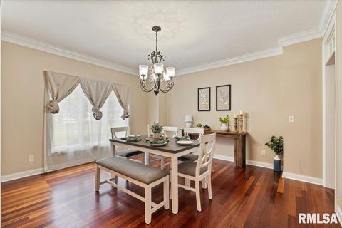 Tiny photo for 16808 RIVER Road N, Cordova, IL 61242 (MLS # QC4268557)