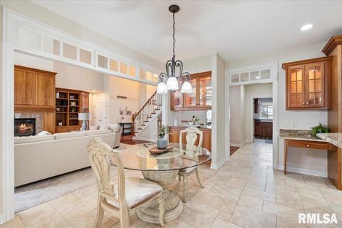 Tiny photo for 16808 RIVER Road N, Cordova, IL 61242 (MLS # QC4268557)