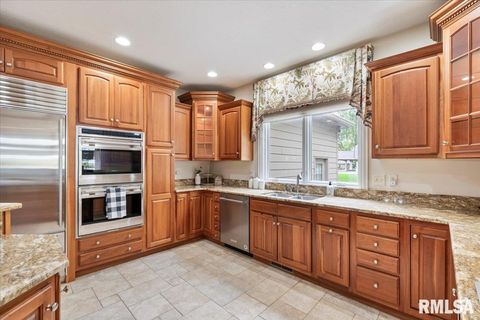 Tiny photo for 16808 RIVER Road N, Cordova, IL 61242 (MLS # QC4268557)