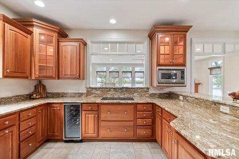 Tiny photo for 16808 RIVER Road N, Cordova, IL 61242 (MLS # QC4268557)