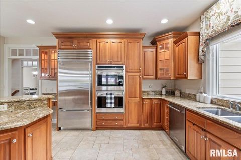 Tiny photo for 16808 RIVER Road N, Cordova, IL 61242 (MLS # QC4268557)