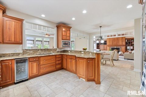 Tiny photo for 16808 RIVER Road N, Cordova, IL 61242 (MLS # QC4268557)