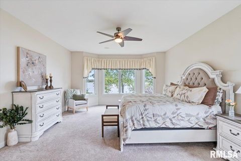 Tiny photo for 16808 RIVER Road N, Cordova, IL 61242 (MLS # QC4268557)