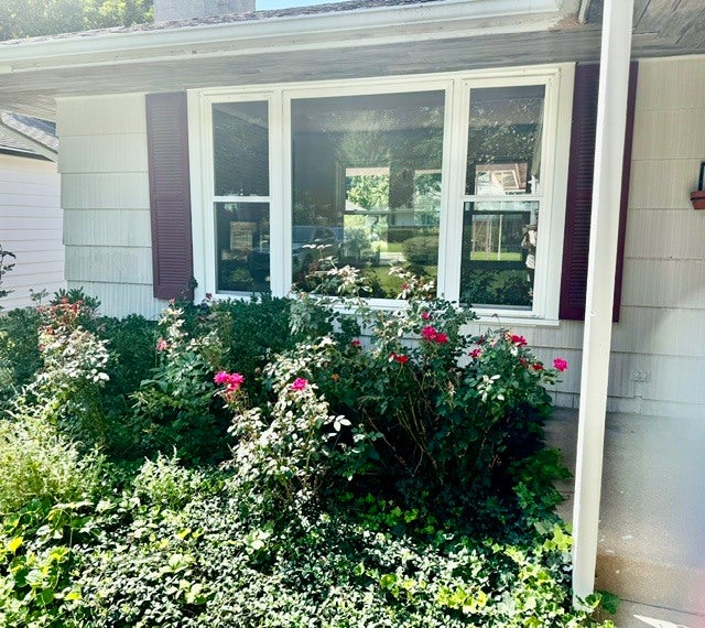 531 Pinecrest Lane