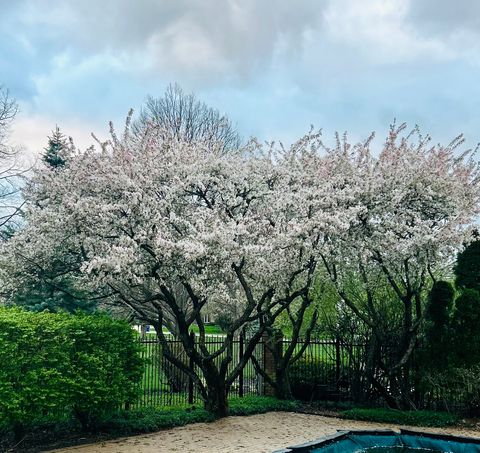 Tiny photo for 2266 Pebble Creek Drive, Lisle, IL 60532 (MLS # 12531416)