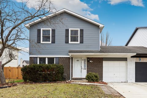 Photo of 534 Grimes Avenue, Naperville, IL 60565 (MLS # 12569611)