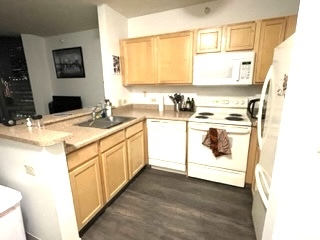 222 N Columbus Drive 1111