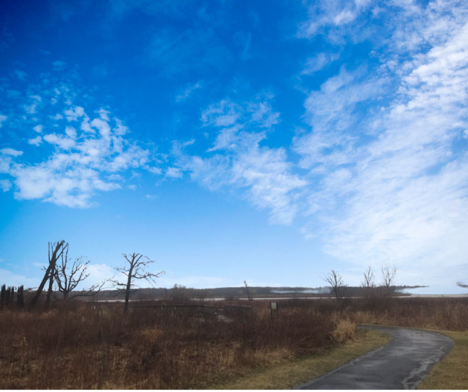 Lot 16 Harding Avenue