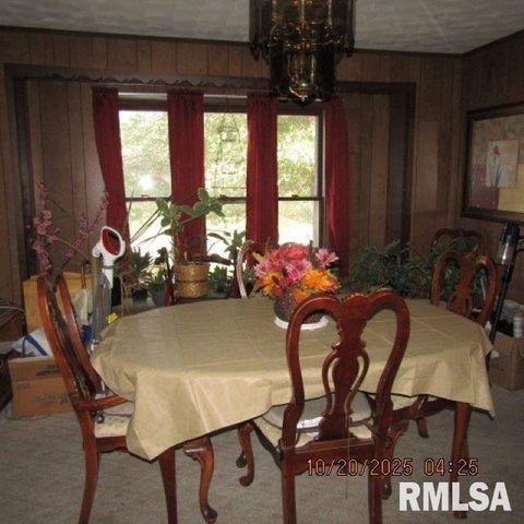 Tiny photo for 302 W PATTON Street, Valier, IL 62891 (MLS # EB460193)