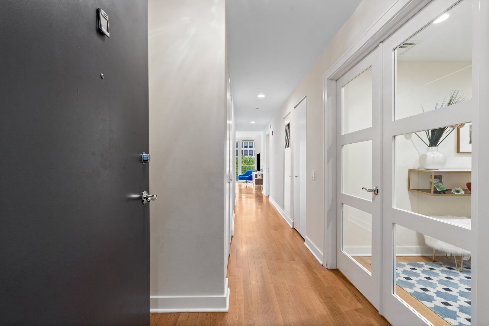 250 E Pearson Street 1002