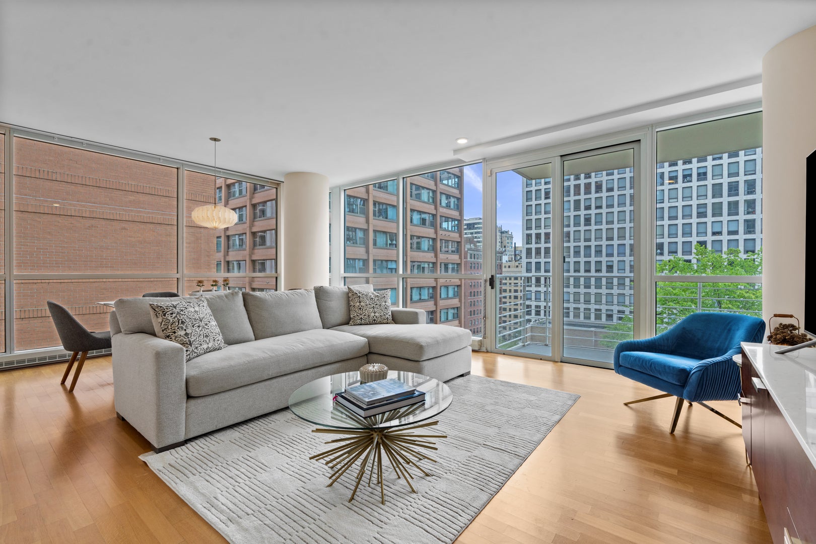 250 E Pearson Street 1002