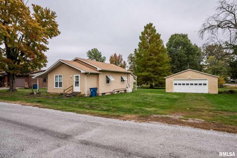 Photo of 308 W FLORA Street, Valier, IL 62891 (MLS # QC4269250)