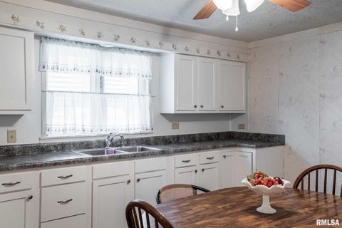 Tiny photo for 308 W FLORA Street, Valier, IL 62891 (MLS # QC4269250)