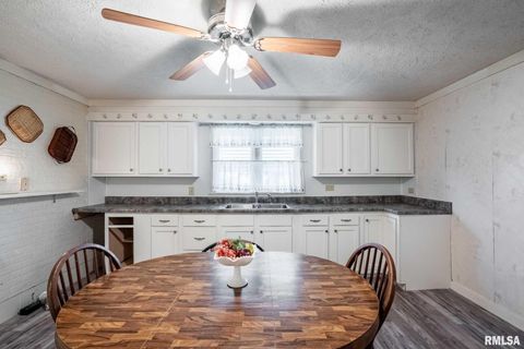 Tiny photo for 308 W FLORA Street, Valier, IL 62891 (MLS # QC4269250)