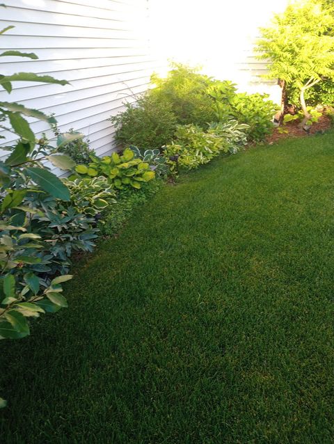 Tiny photo for 649 Berkley Drive, Romeoville, IL 60446 (MLS # 12611909)