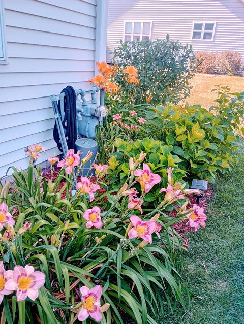 Tiny photo for 649 Berkley Drive, Romeoville, IL 60446 (MLS # 12611909)