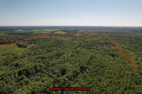 Tract 3 Mayflower Road Clay City IL 62824