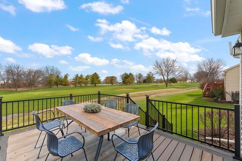 Tiny photo for 21324 W Douglas Lane #none, Plainfield, IL 60544 (MLS # 12609401)