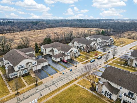 Tiny photo for 2725 Acorn Court #2725, West Dundee, IL 60118 (MLS # 12578175)