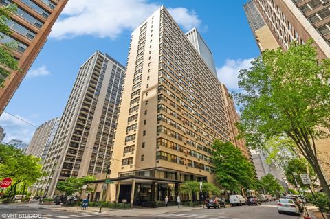850 N Dewitt Place 18A Chicago IL 60611
