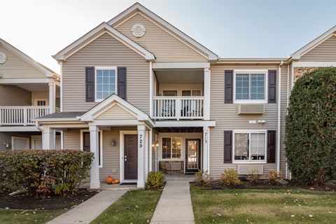 713 Silverstone Drive 713 Carpentersville IL 60110