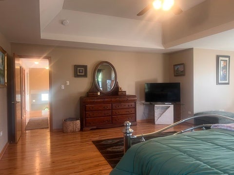 Tiny photo for 21203 Old North Church Road, Frankfort, IL 60423 (MLS # 12720418)