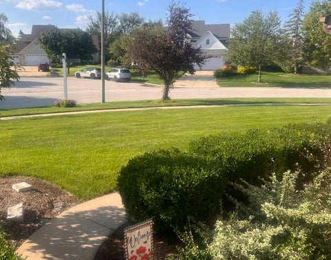 Tiny photo for 21203 Old North Church Road, Frankfort, IL 60423 (MLS # 12720418)