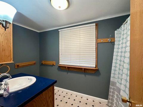 Tiny photo for 626 ARGYLE Court, Clinton, IA 52732 (MLS # QC4268677)