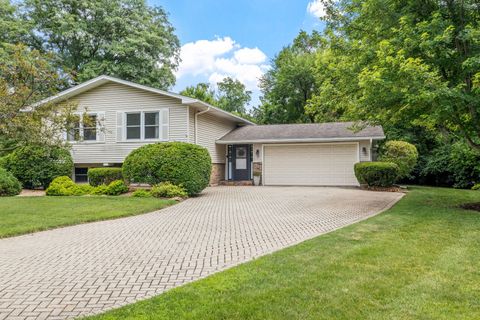 Photo of 6651 Dunham Road, Downers Grove, IL 60516 (MLS # 12486121)