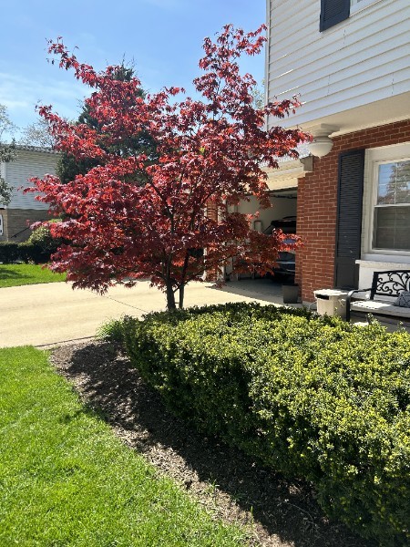 124 S Fairlane Avenue